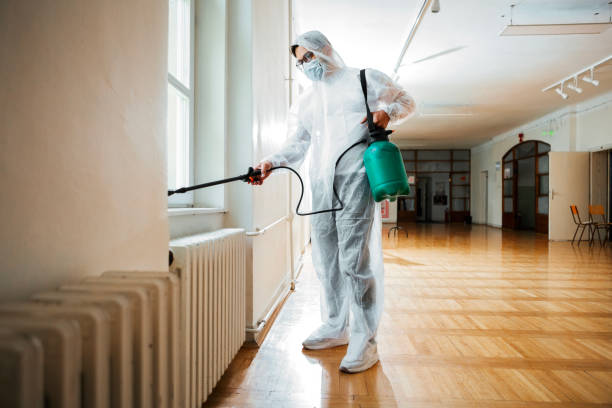 Best Pest Prevention Services  in Silver Bay, MN